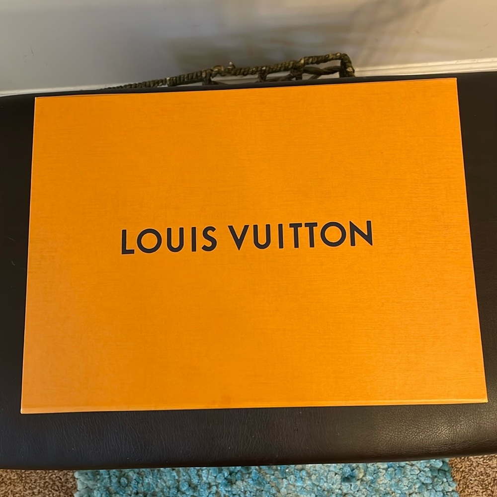 Louis Vuitton Pouch
